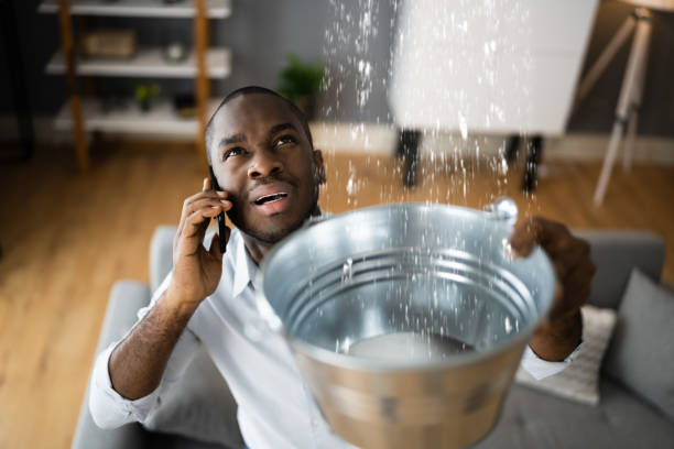 Best 24/7 water damage repair  in Arcola, IL