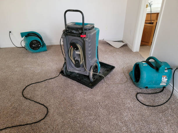 Best 24-hour water damage restoration  in Arcola, IL