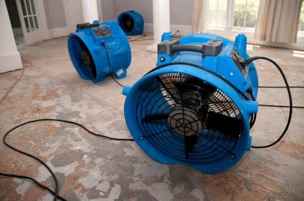 Best Emergency water damage restoration  in Arcola, IL
