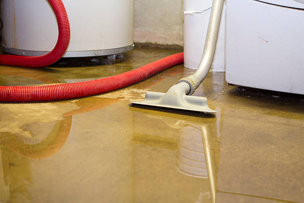 Water damage restoration process in IL