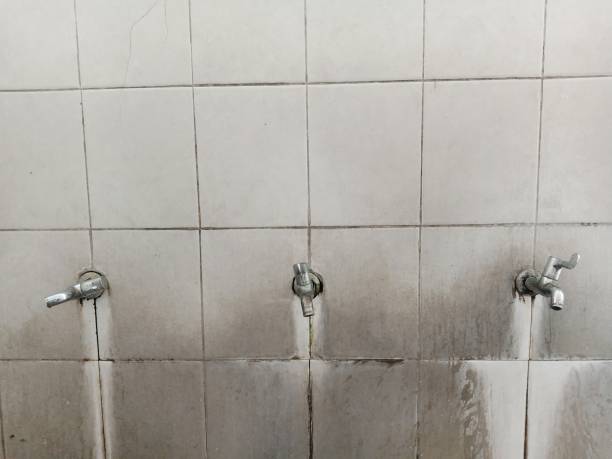 Best 24/7 water damage repair  in Arcola, IL