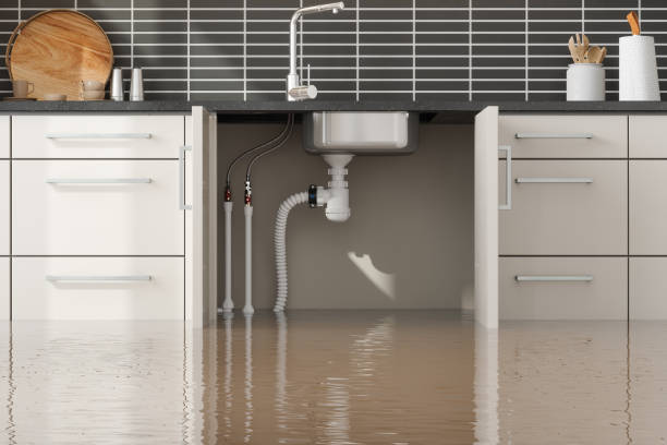 Best Water damage cleanup near me  in Arcola, IL