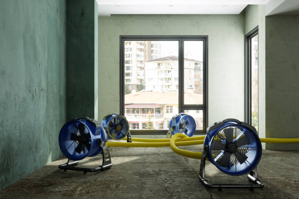Best Water damage restoration near me  in Arcola, IL