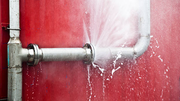 Best Basement water damage restoration  in Arcola, IL